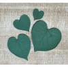 Rubber Leaf Forms